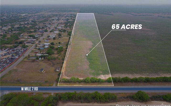 Pictures of Land property located at 00 Mile 7 Street, Penitas, TX 78576 for sales - image #1