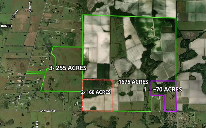 Pictures of Land property located at Clay Gully Rd, Myakka City, FL 34251 for sales - image #1