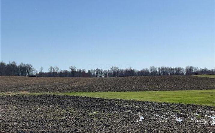 Pictures of Land property located at 0 York Road SW, Pataskala, OH 43062 for sales - image #1