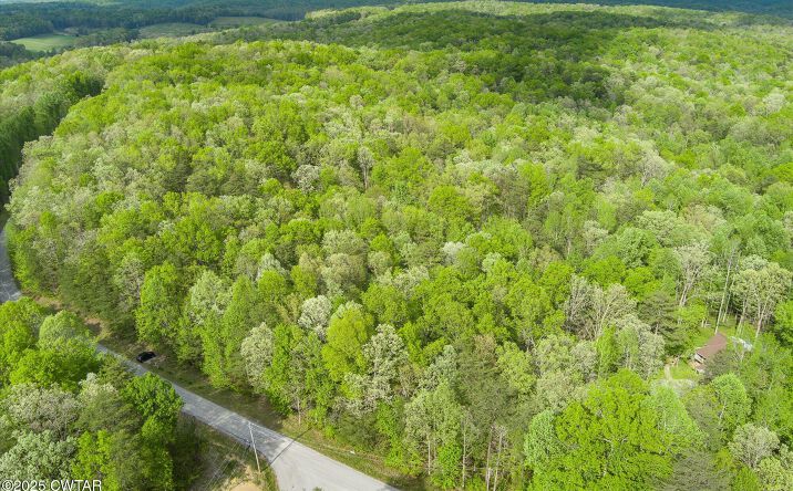 Pictures of Land property located at 0 W Laurel Way, Monterey, TN 38574 for sales - image #1