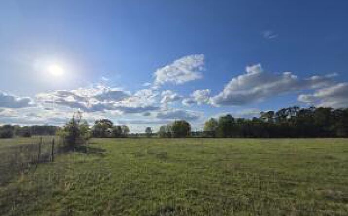 Pictures of Land property located at 44a Fellowship Road, Williston, SC 29853 for sales - image #1