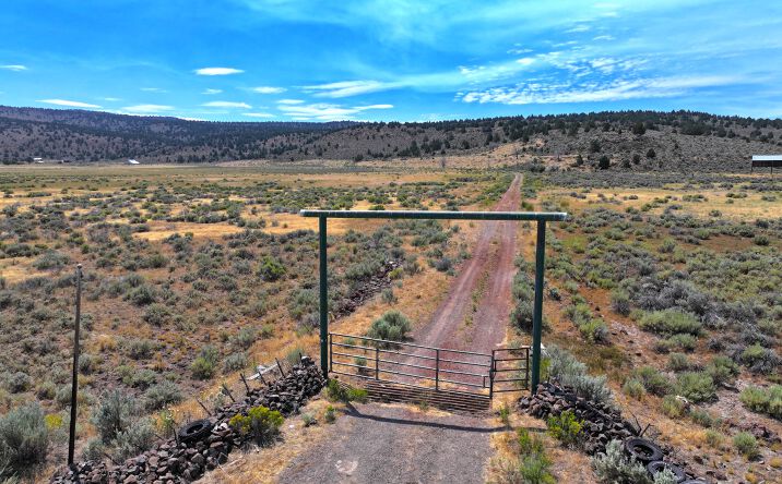 Pictures of Land property located at Termo Grasshopper Rd, Termo, CA 96132 for sales - image #1