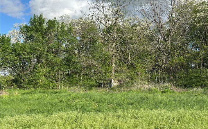 Pictures of Land property located at Lot 2 Albany Road, Orrick, MO 64077 for sales - image #1