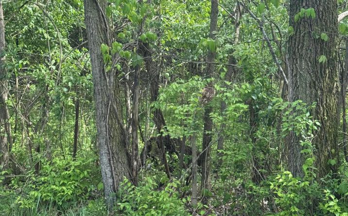 Pictures of Land property located at 0 Milford Avenue, Columbus, OH 43202 for sales - image #1