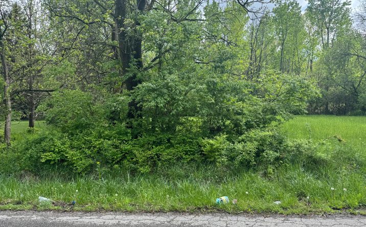 Pictures of Land property located at 0 Melrose Avenue, Columbus, OH 43202 for sales - image #1