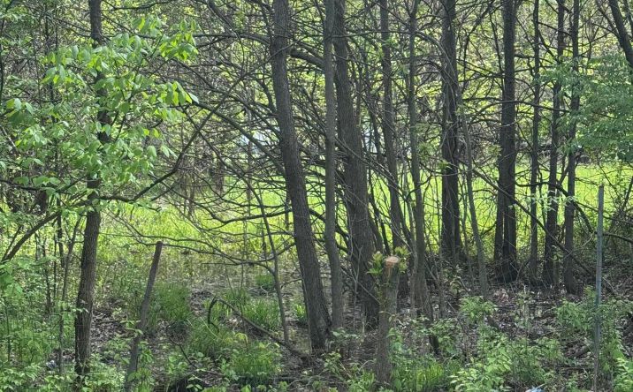 Pictures of Land property located at 0 Milford Avenue, Columbus, OH 43202 for sales - image #1