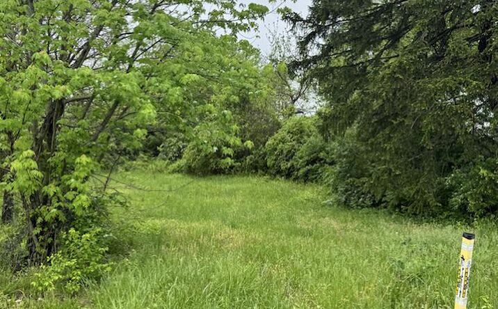 Pictures of Land property located at 572 Elwood Avenue, Columbus, OH 43207 for sales - image #1
