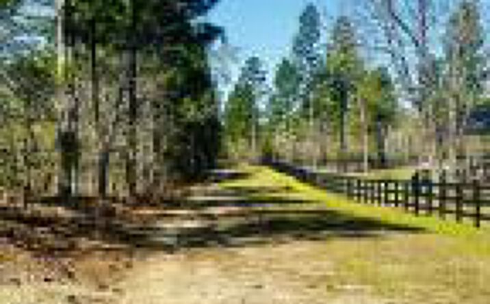 Pictures of Land property located at Lot 6 Parque Avenue, Aiken, SC 29803 for sales - image #1