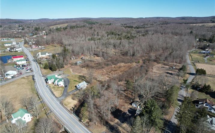 Pictures of Land property located at Rt. 52, White Sullphur Springs, NY, White Sulphur Springs, NY 12787 for sales - image #1