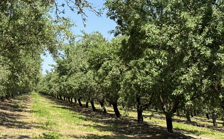Pictures of Land property located at Sunset, Livingston, CA 95334 for sales - image #1