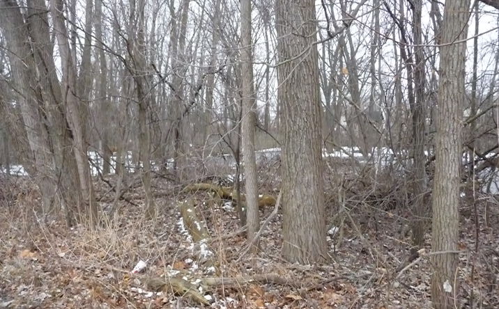 Pictures of Land property located at 5455 Connecticut St., Merrillville, IN 46410 for sales - image #1