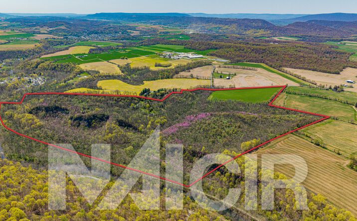 Pictures of Land property located at Fox Run Rd, Williamsburg, PA 16693 for sales - image #1
