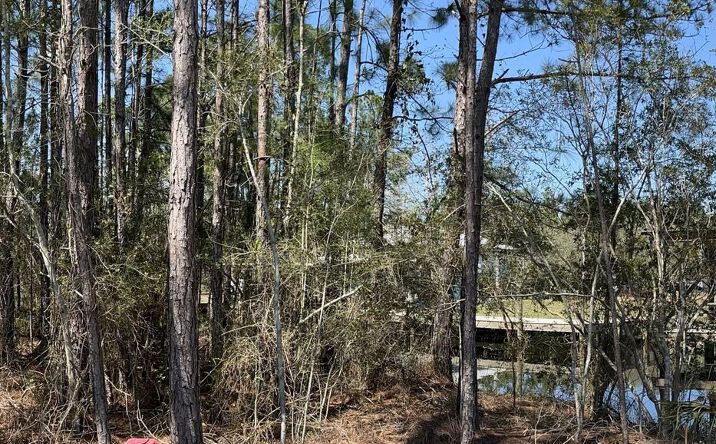 Pictures of Land property located at 11072 MS-603, Bay St. Louis, MS 39520 for sales - image #1