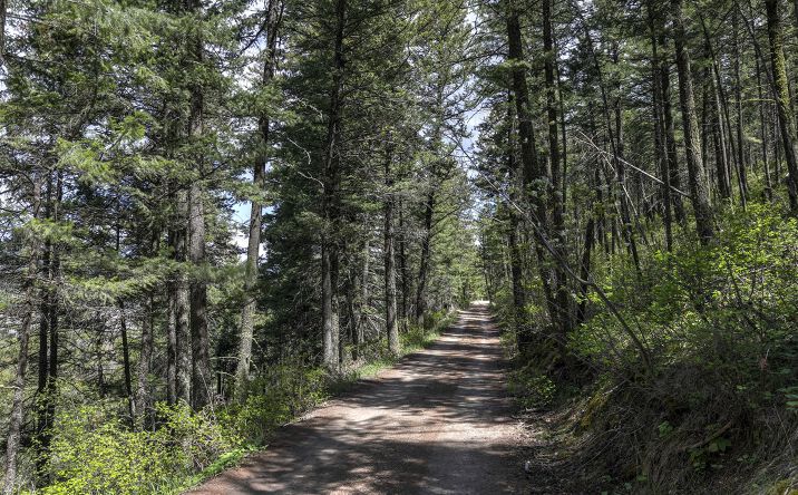 Pictures of Land property located at 13275 Balsamroot Road, Lolo, MT 59847 for sales - image #1