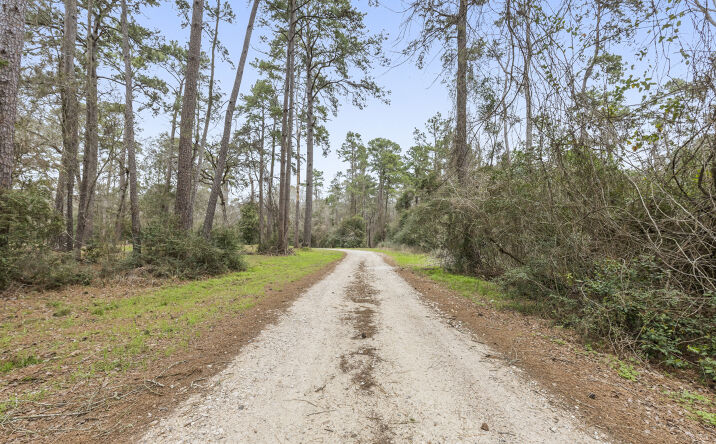 Pictures of Land property located at 23515 CARDINAL DR, Hockley, TX 77447 for sales - image #1