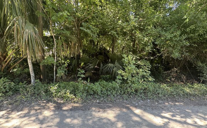 Pictures of Land property located at 2015 Griffin Street, Ormond Beach, FL 32174 for sales - image #1