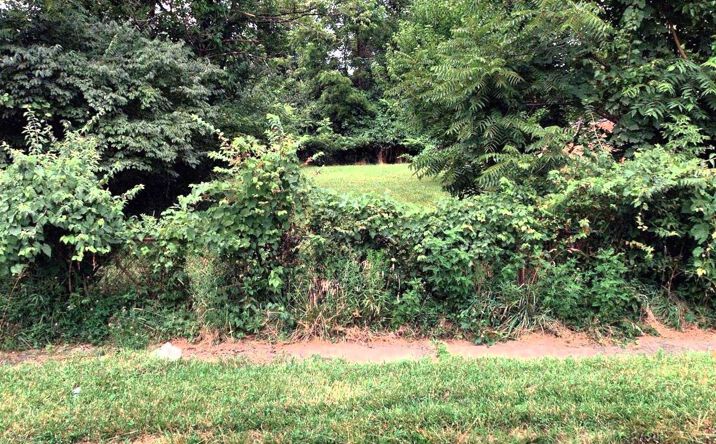 Pictures of Land property located at 2225 Century Drive, Columbus, OH 43211 for sales - image #1