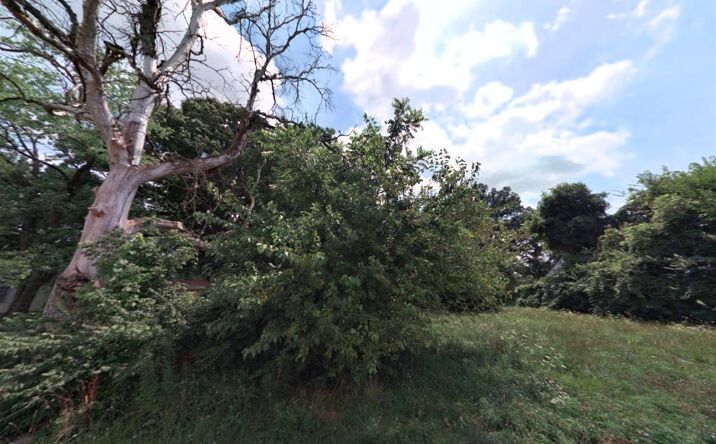Pictures of Land property located at 0 Rankin Avenue, Columbus, OH 43211 for sales - image #1