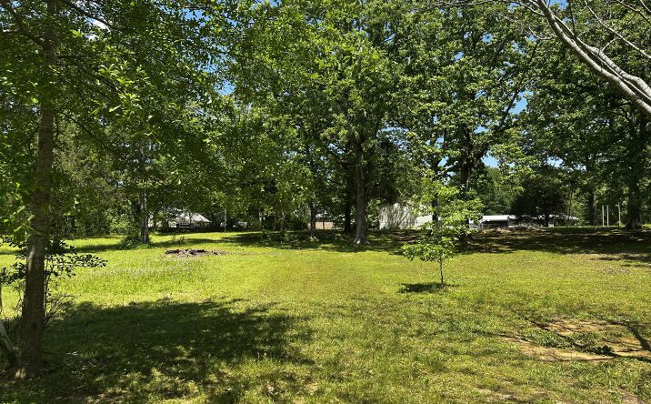 Pictures of Land property located at 35 Sauger Road, Crump, TN 38327 for sales - image #1