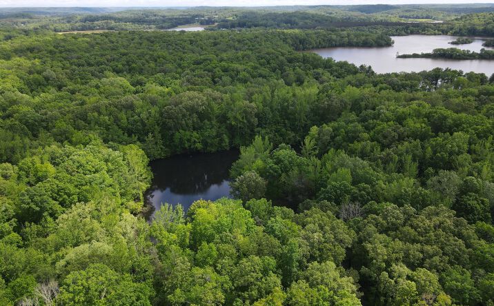 Pictures of Land property located at Lot 183 Hillcrest Cove, Parsons, TN 38363 for sales - image #1
