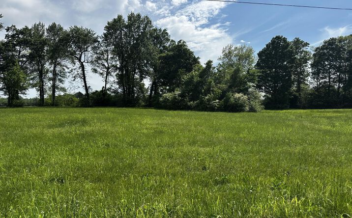 Pictures of Land, Special Purpose property located at Lot 21 Catfish Ln, Crump, TN 38327 for sales - image #1