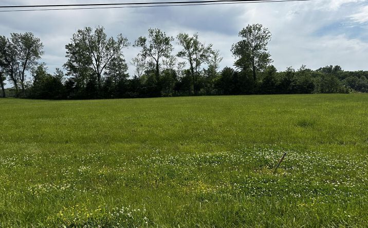 Pictures of Land property located at Lot 5 Tennessee River, Crump, TN 38327 for sales - image #1