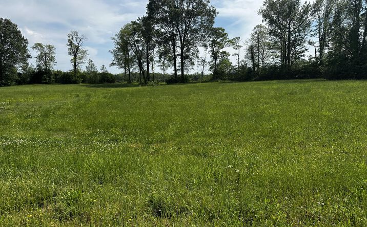 Pictures of Land property located at Lot 29 Tennessee River, Crump, TN 38327 for sales - image #1