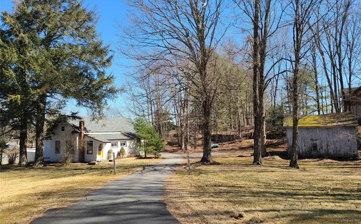 Pictures of Mixed Use, Land, Retail property located at 1095 State Rt 17b, Mongaup Valley, NY 12762 for sales - image #1