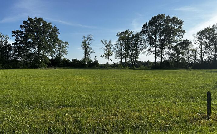 Pictures of Land property located at Lot 31 Catfish Lane, Crump, TN 38327 for sales - image #1