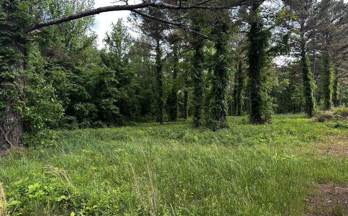 Pictures of Land property located at 0 Highway 57, Michie, TN 38357 for sales - image #1