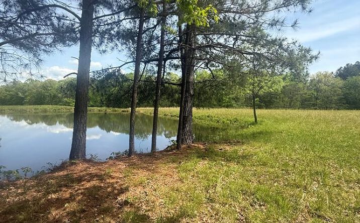 Pictures of Land property located at 0 Lot 6 Point Pleasant Rd., Buchanan, TN 38222 for sales - image #1