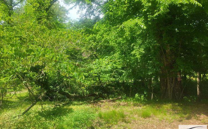 Pictures of Land property located at 00 Park, Paris, TN 38242 for sales - image #1