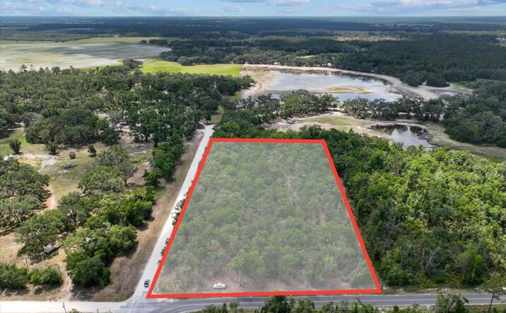 Pictures of Land property located at 000 NE 399th St, Old Town, FL 32680 for sales - image #1