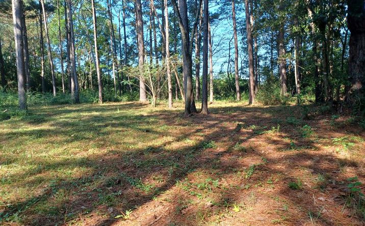 Pictures of Land property located at NHN Cheryl Ln, Lake Hillsdale, MS 39455 for sales - image #1