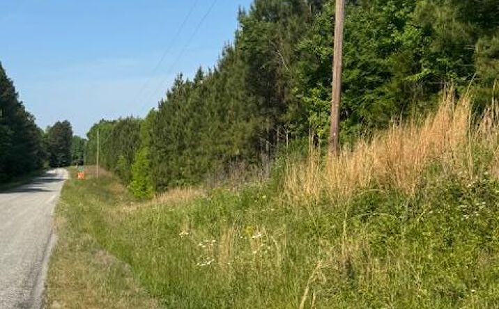 Pictures of Land property located at 0 Go Cart Rd, Brodnax, VA 23920 for sales - image #1