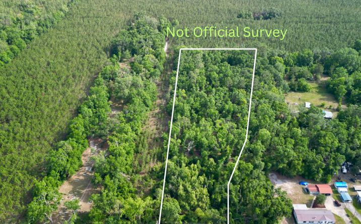 Pictures of Land property located at SE Miller St Se, Live Oak, FL 32064 for sales - image #1