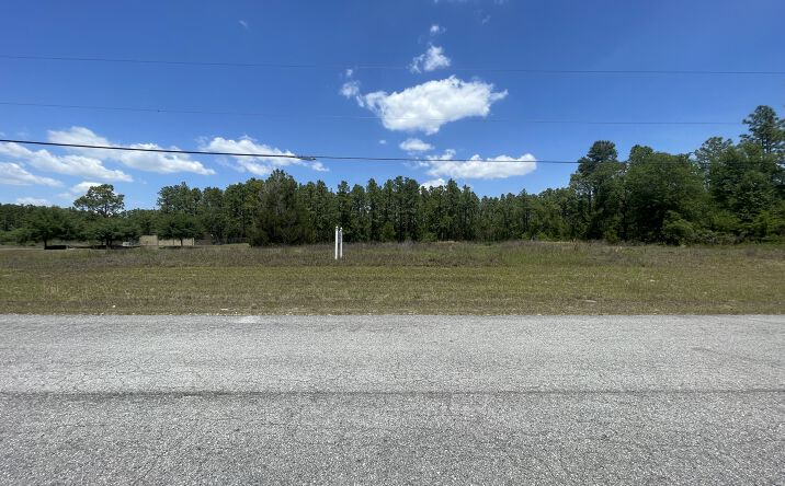 Pictures of Land property located at SW 137th Street Ocala, FL 34473, Ocala, FL 34473 for sales - image #1