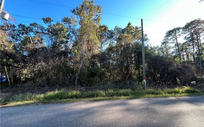 Pictures of Land property located at 0 Bayou Shores Drive, Coden, AL 36523 for sales - image #1