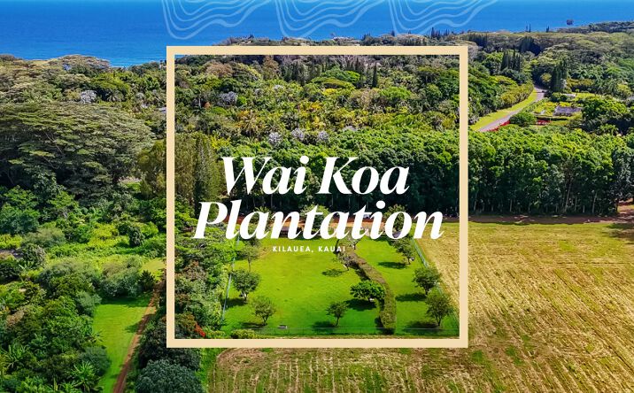 Pictures of Land property located at 5545 Kahiliholo Rd, Kilauea, HI 96754 for sales - image #1