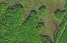 29550670