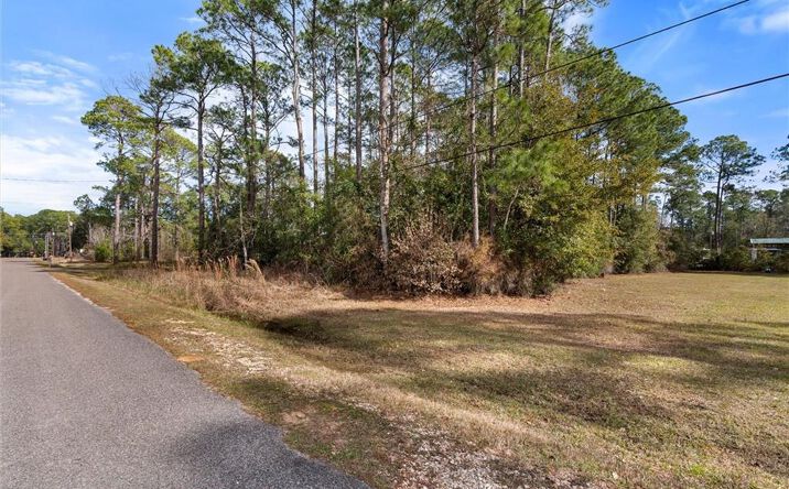 Pictures of Land property located at 0 Morris Drive, Coden, AL 36523 for sales - image #1