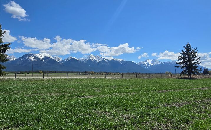 Pictures of Land property located at Lot C NHN Hwy 93, Ronan, MT 59864 for sales - image #1