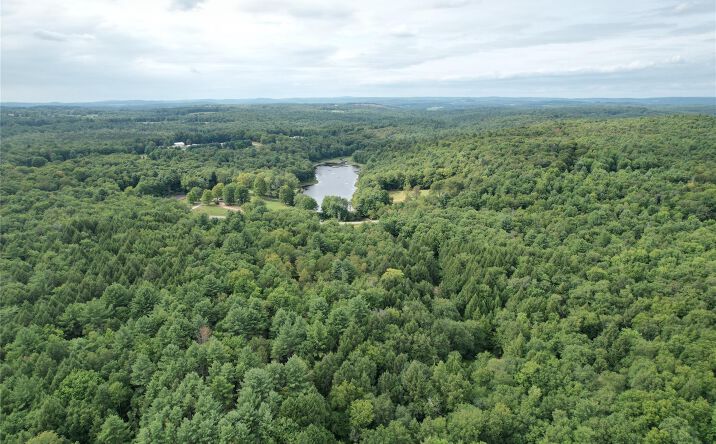 Pictures of Land property located at TBD John Bishop Road, Swan Lake, NY 12783 for sales - image #1