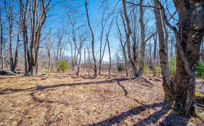 Pictures of Land property located at TBD Glen Wild Rd, Glen Wild, NY 12738 for sales - image #1