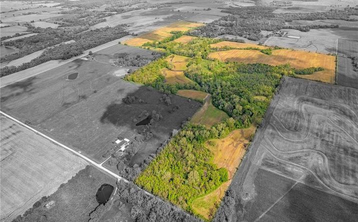 Pictures of Land, Special Purpose property located at TBD NW County Road 10002 N/A, Amsterdam, MO 64723 for sales - image #1