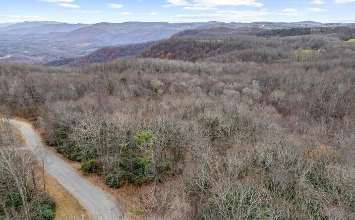 Pictures of Land, Multifamily property located at Lot 23 W Pheasant Chase, Ararat, VA 24053 for sales - image #1