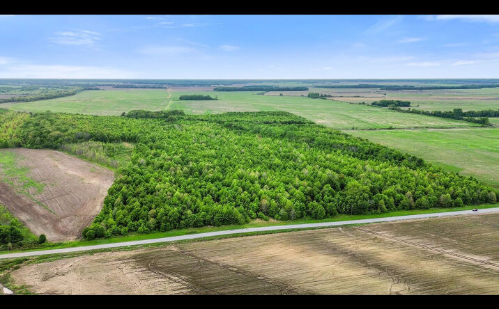 Pictures of Land property located at Bennett Road, Clarksdale, MS 38614 for sales - image #1