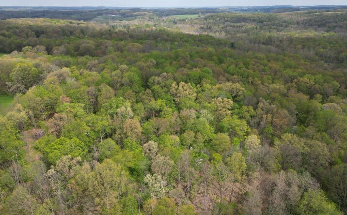 Pictures of Land property located at 0 Austin Rd #1, Howard, OH 43028 for sales - image #1