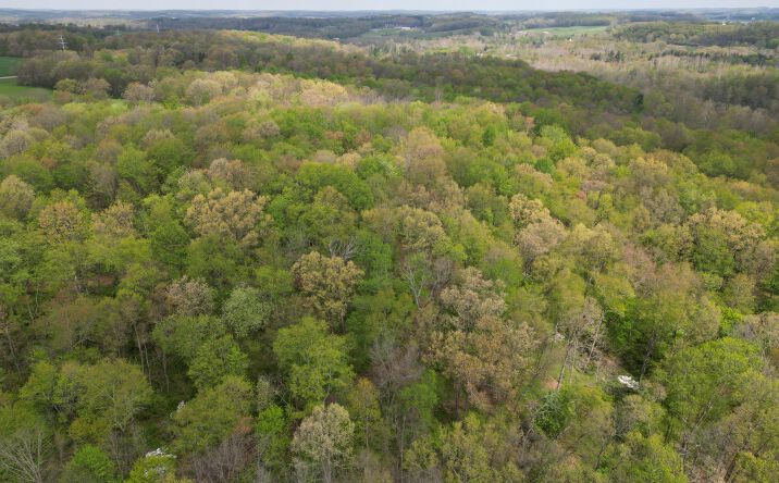 Pictures of Land property located at 0 Austin Rd #2, Howard, OH 43028 for sales - image #1