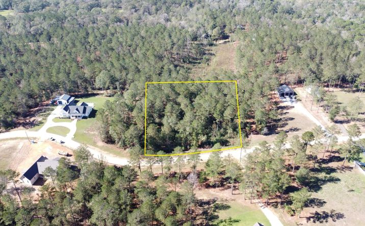 Pictures of Land property located at 0 Joann Drive, Sumrall, USA 39482 for sales - image #1